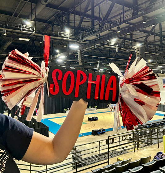 Personalized Cheer Stick with Pom Poms | Game Day School Spirit Sign | Custom Name Cheer Sign | Sports Mom Sign | College Graduation Cheer