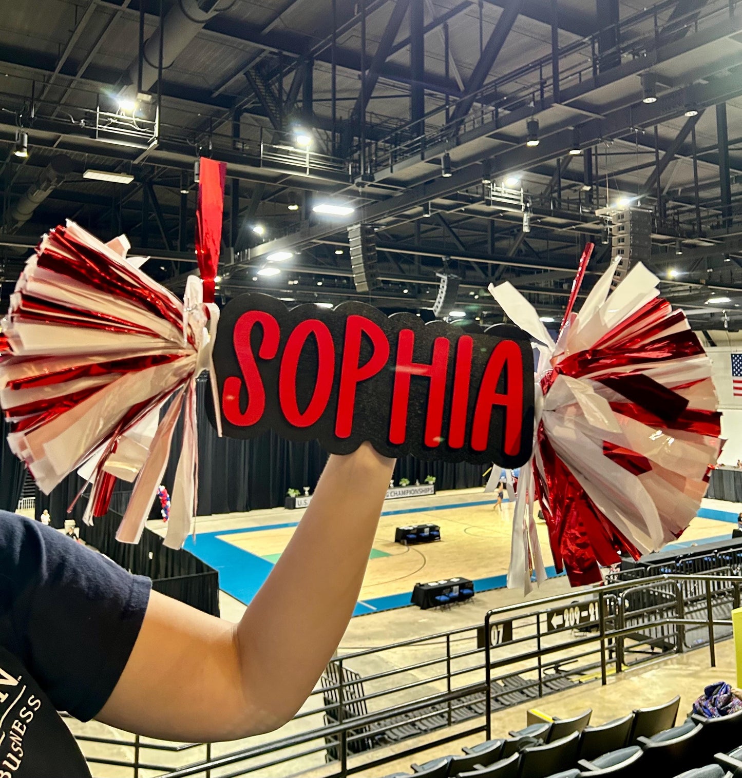 Personalized Cheer Stick with Pom Poms | Game Day School Spirit Sign | Custom Name Cheer Sign | Sports Mom Sign | College Graduation Cheer