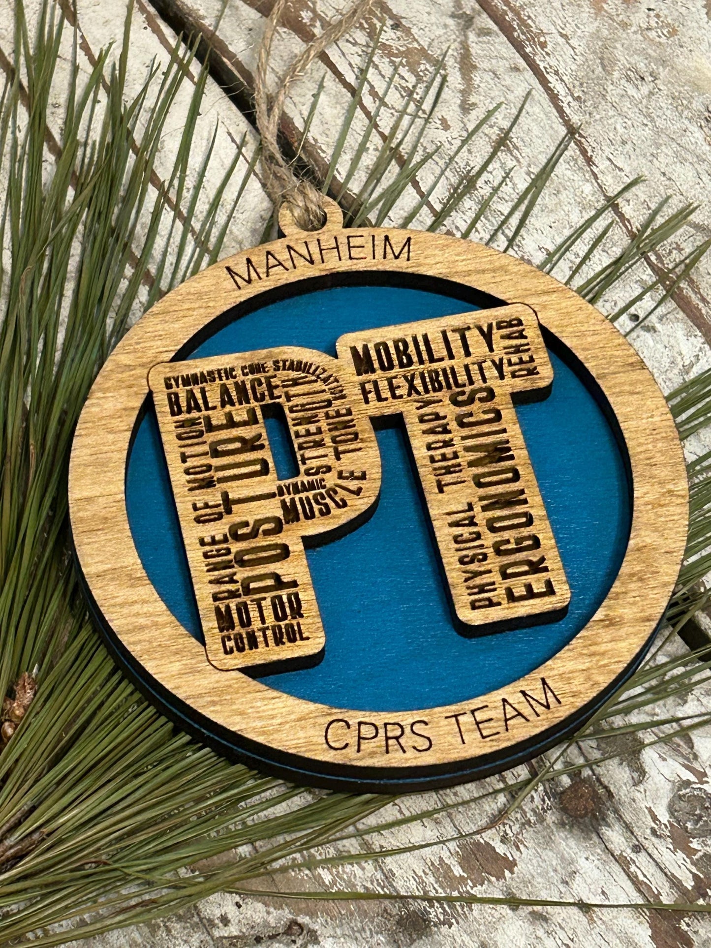 Personalized Physical Therapist Christmas Tree Ornament | Custom PT Thank You Present | Doctor of Physical Therapy Graduation Gift | DPT  Dr