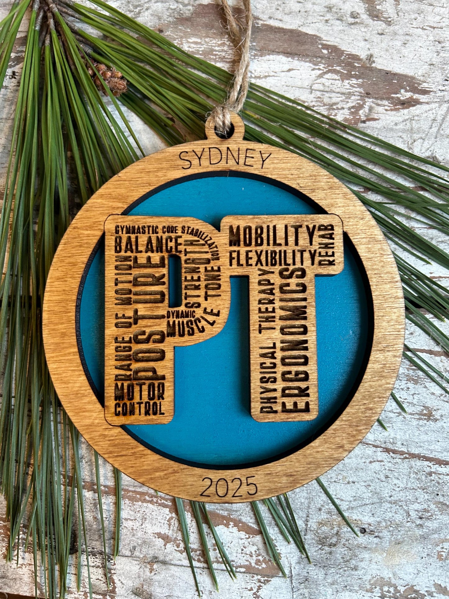 Personalized Physical Therapist Christmas Tree Ornament | Custom PT Thank You Present | Doctor of Physical Therapy Graduation Gift | DPT  Dr